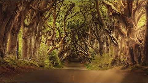 سورة الروم تلاوة الشيخ ابو بكر الشاطري