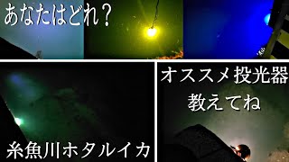 ホタルイカすくいの投光器は何使ってますか？糸魚川ご満悦ラーメン！