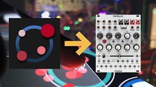 Borderlands Granular into Intellijel Multigrain [Live Processing Mode] [Jam, No Talk]