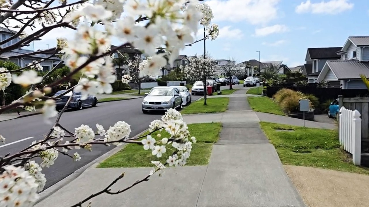 New Zealand Neighborhood Walk