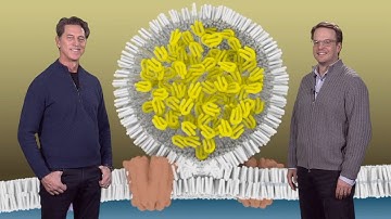 Farese and Walther (HSPH) 2: Mechanisms of Lipid Droplet Formation