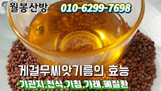 기관지.천식.폐질환에 좋은 천연식품 게걸무씨앗 기름의 효능