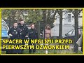 Legnica pnaga wyprowadzaa psa na oczach dzieci