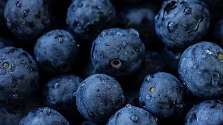 FDA Class I Alert: Frozen Blueberries Recalled Over Listeria Threat