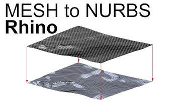 Convert Site Mesh into a Single Continuous NURBS Surface | Rhino Mesh to NURBS | Rhino Site Model