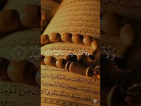 تلاوة خاشعة اسلام صبحي 