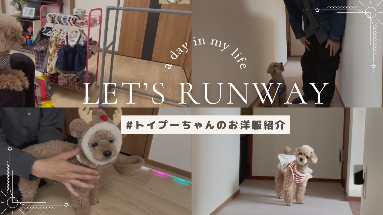 ✳︎toto✳︎さま】vintage ୨୧ 小さな ワンちゃん set 【公式通販】