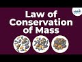 Atoms and Chemical Laws: Exploring Conservation and Proportions Through Everyday Examples