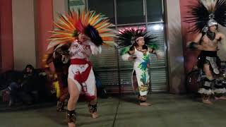 Danza Azteca venado!