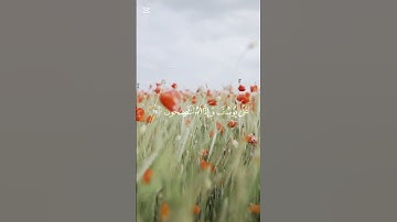 محمد صديق المنشاوي سوره يوسف قران كريم #قرآن #المصحف #قران_كريم #راحه_نفسيه #اكسبلور