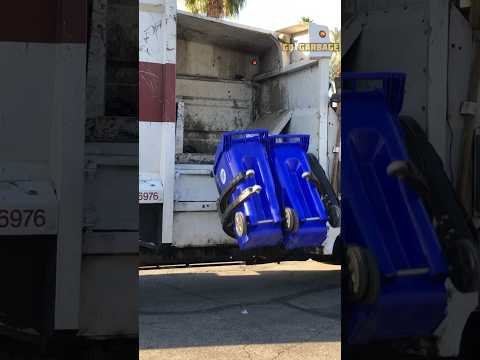 Garbage Truck Double Dumping Bins Shorts Garbagetruck Double Garbage