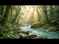 Relaxing River Stream Sounds LIVE 🌴 Nature Ambience for Sleep, Study &amp; Insomnia Relief