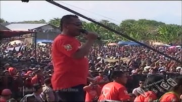 TABAH || LILIN HERLINA || NEW PALLAPA