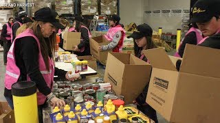 Feeding the Food Insecure