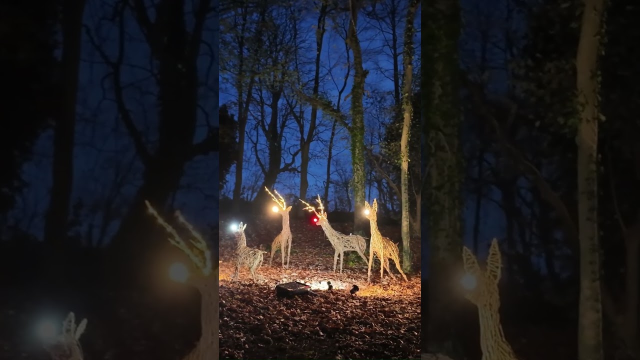 Watch Painswick Rococo Gardens- Enchanted Garden By Night on YouTube