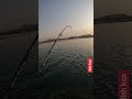 اذا تبي شعفن جرب الكشكوش الحي صيد سمك Fishing اذا تبي شعفن جرب الكشكوش الحي صيد سمك Fishing