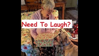Need to Laugh?