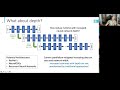 A Layer-Parallel Approach for Training Deep Neural Networks --- Eric Cyr