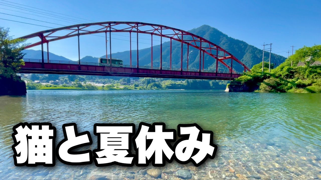 涼を求めて猫と夏休み。日本一長い宿場町に寄り道しながら冷たい川でリフレッシュしました。｜長野県の阿寺渓谷と奈良井宿｜少しでも涼を感じていただけたら嬉しいです！