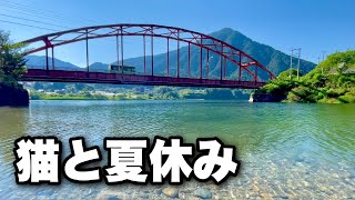 涼を求めて猫と川。日本一長い宿場町に寄り道しながら冷たい川でリフレッシュしました。長野県の阿寺渓谷と奈良井宿少しでも涼を感じていただけたら嬉しいです