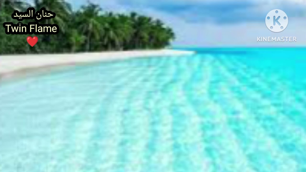 حال الهارب منهارعرف قيمتك يا مطارد توأم الشعلة بعد ما رفعت استحقاقك وبشرة خير سريعه في الطريق ❤♾️