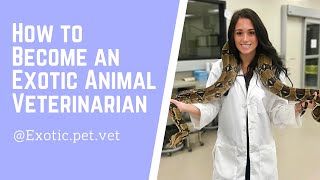 How to Become an Exotic Animal Veterinarian