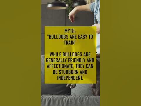 Bulldogs Myth 4 - Did you know this? Let us know in the comments! 👇