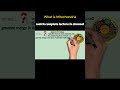 What is Mitochondria | EasyMedEdHub #shorts #cellreference #anatomy #mitochondria