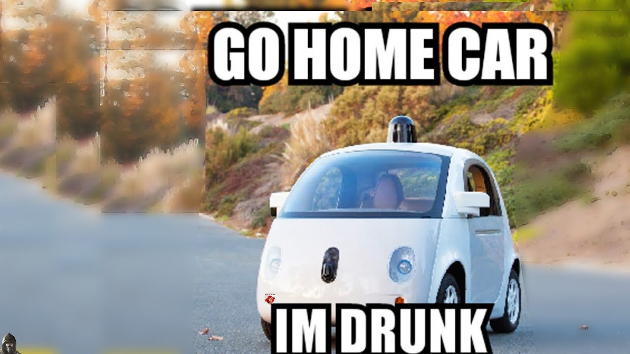 Go home правильно. Go Home. Go Home Мем. Drunk car Control. Dogs Drive car memes.