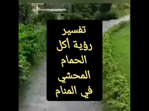 تفسير رؤية أكل الحمام المحشي في المنام رؤية حلم اكل اكلات الاكل اكل الحمام حمام محشي المحشي