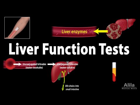 Liver Function Tests (LFTs), Animation