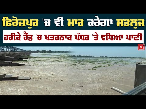 Ferozepur ਲਈ ਖਤਰਨਾਕ Harike Head , ਛੱਡਿਆ ਇਕ ਲੱਖ ਪੰਜ ਹਜ਼ਾਰ ਕਿਊਸਿਕ ਪਾਣੀ