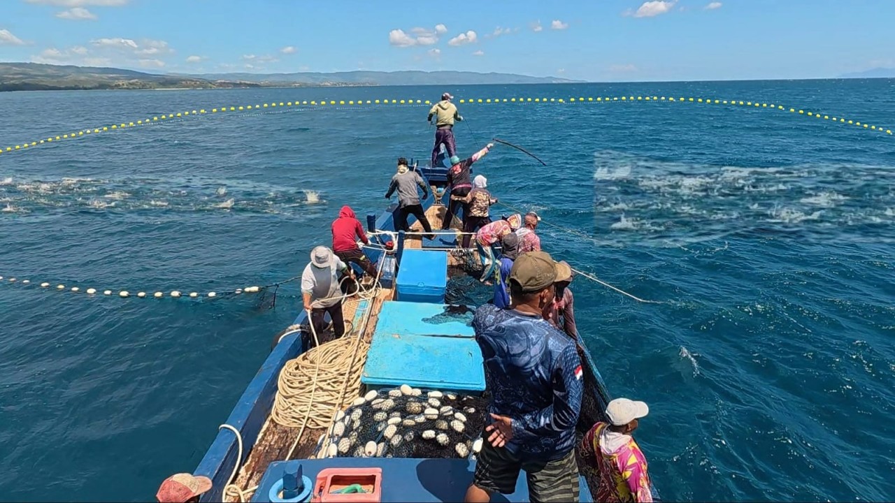 Pukat cincin, Nelayan Indonesia Dapat Banyak Ikan, luar biasa hasil tangkapan nelayan Indonesia