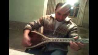 Pərviz Aşıq Aslan Kosalı Oğlu