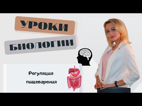 Регуляция пищеварения