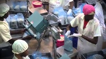 Process Improvement  Raw Shrimp Packaging Factory: Integrated System