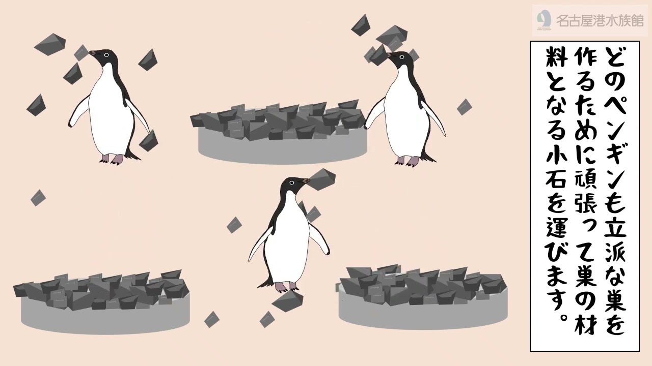 ペンギンタイムズからのお知らせ～いしどろぼう～｜研究・教育｜名古屋