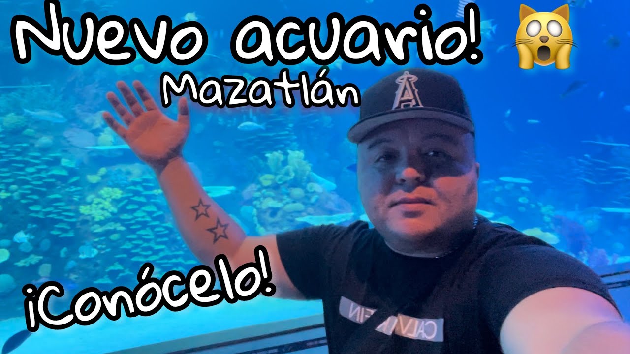 Nuevo gran ACUARIO mar de cortes en MAZATLÁN el acuario más GRANDE de ...