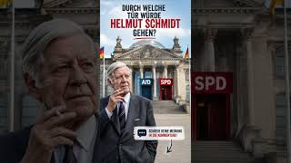 Was würde Helmut Schmidt tun...? #afd #spd #politik #bundestag