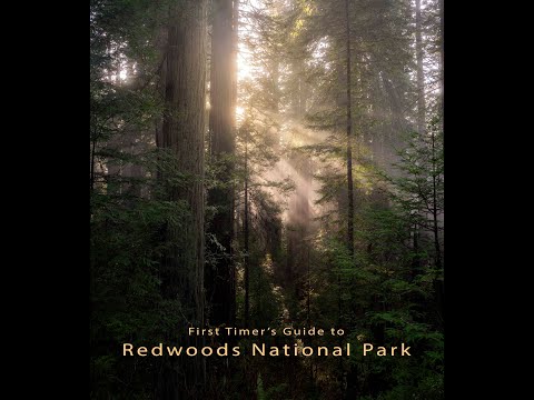 Vídeo: Prairie Creek Redwoods State Park: O Guia Completo