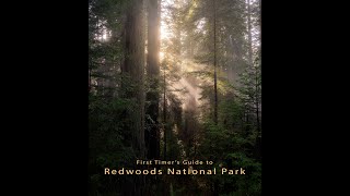 Redwoods National Park, a guide to the area