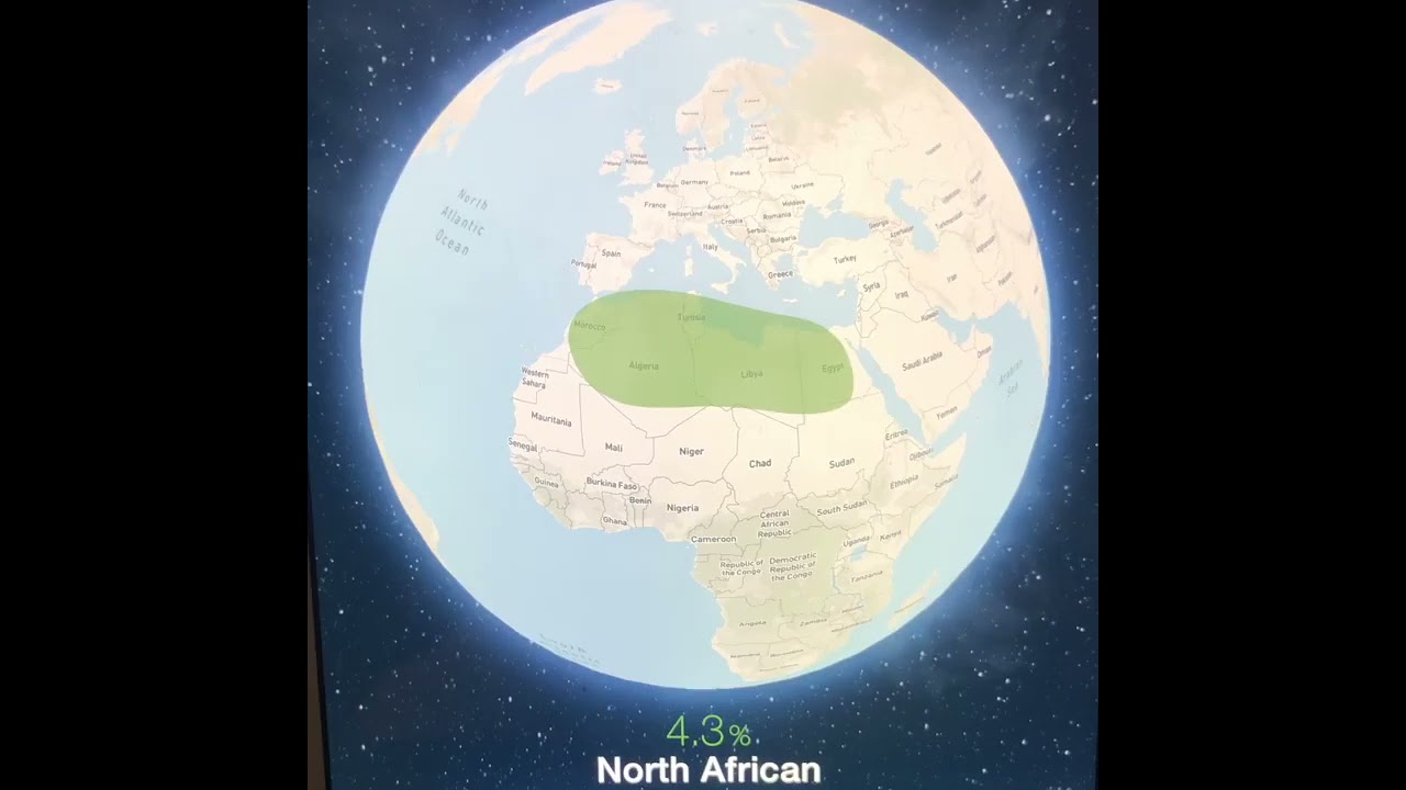 MyHeritage DNA Results Portuguese lady