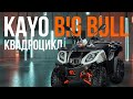 KAYO BIG BULL  - Обзор квадроцикла