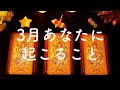 2020年🌟3月あなたに起こること🌟【運勢・恋愛・仕事】タロット占い&オラクルカードリーディング