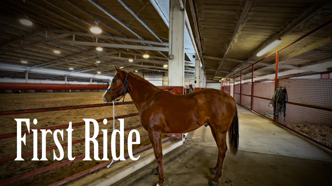 Been waiting almost two years for this day. #horse #ranch #western