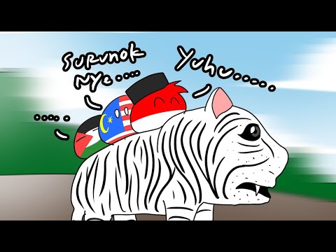 Indo dikejar macan putih