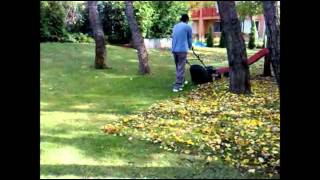 GrassCutter.avi