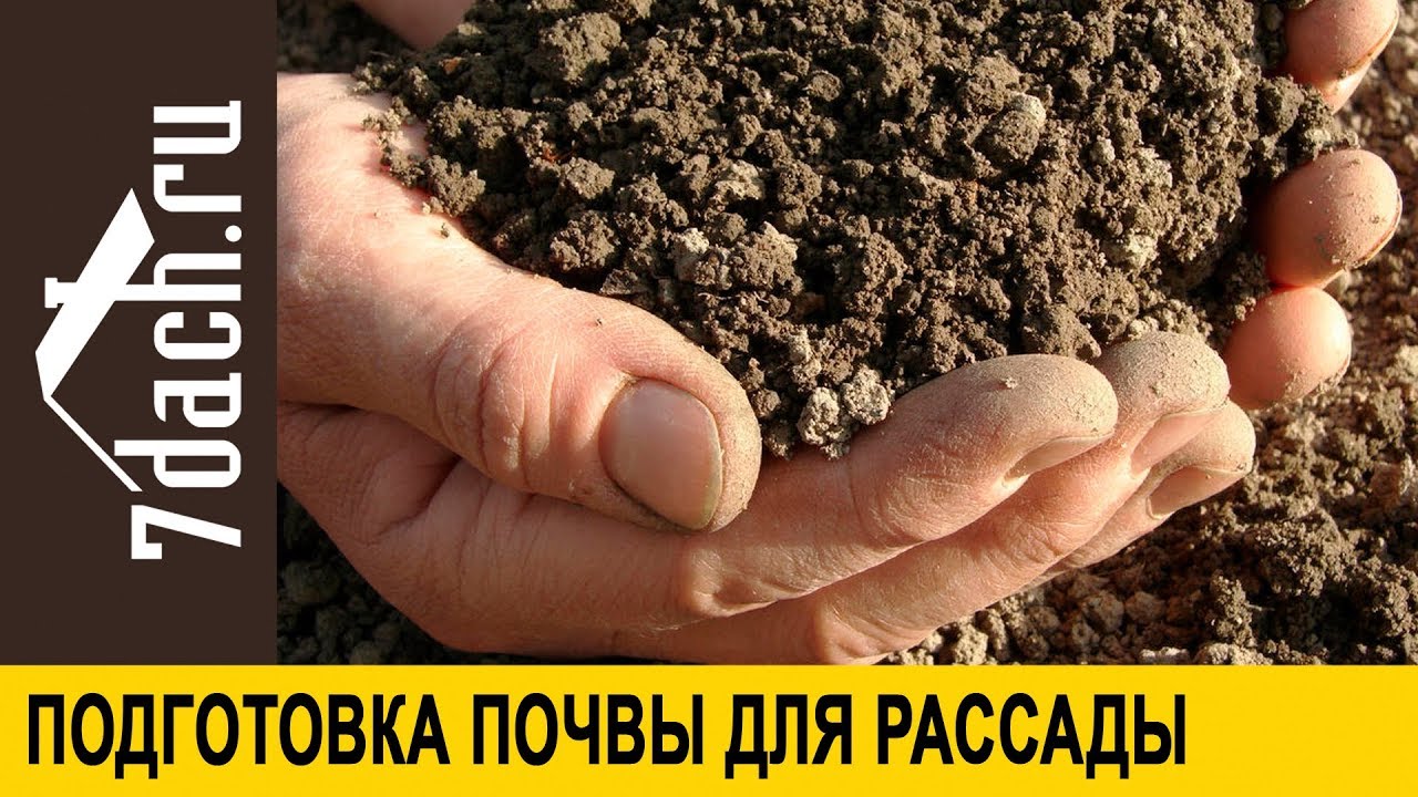 Как осенью подготовить почву для рассады своими руками - 7 дач