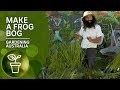 How to create a frog bog habitat