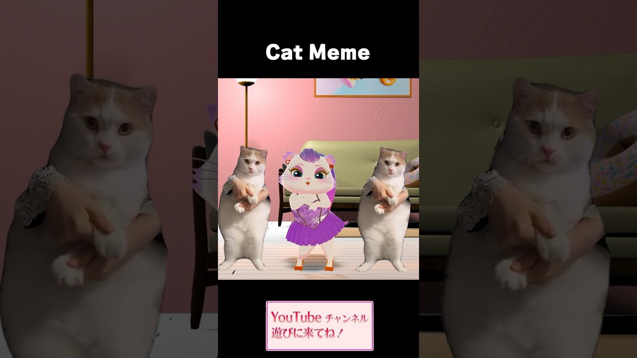 変身しながらCat Meme踊ってみた🐱 #shorts #猫ミーム - YouTube